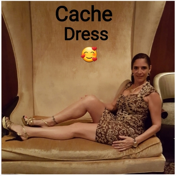 Cache Dresses & Skirts - Cache Leopard Print Bodycon Women's Dress with Gold Tie Tassel, Size S